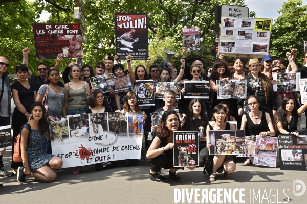 Action Cause animale contre le Festival de YULIN en Chine. Mobilization against YULIN Festival in China.