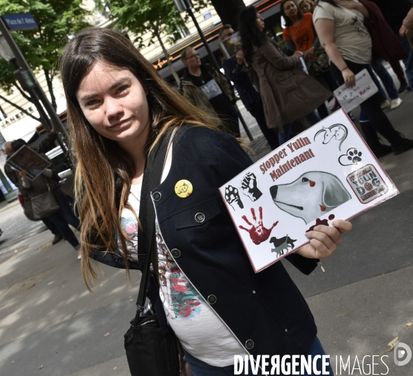 Action Cause animale contre le Festival de YULIN en Chine. Mobilization against YULIN Festival in China.
