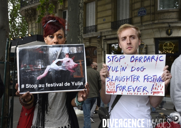 Action Cause animale contre le Festival de YULIN en Chine. Mobilization against YULIN Festival in China.