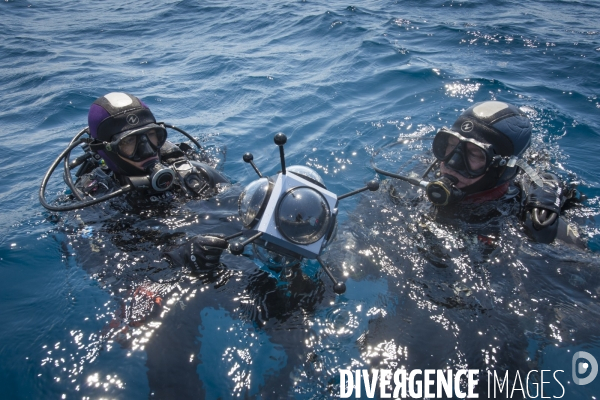 Scirena, reconnaisance faciale pour les poissons