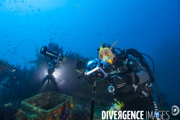 SCIRENA, reconnaissance faciale pour les poissons