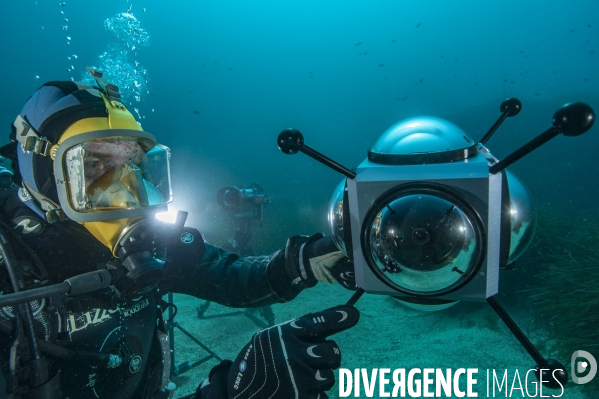 Scirena, reconnaisance faciale pour les poissons