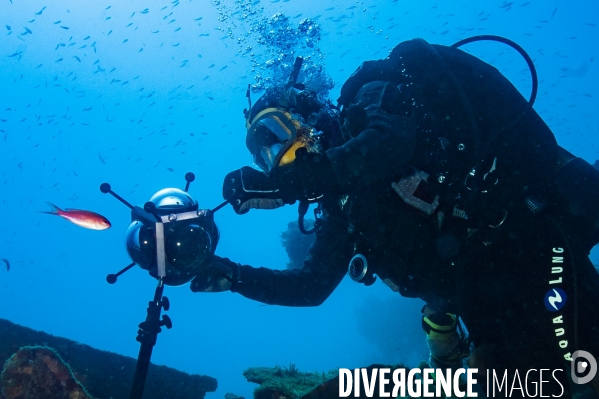 Scirena, reconnaisance faciale pour les poissons