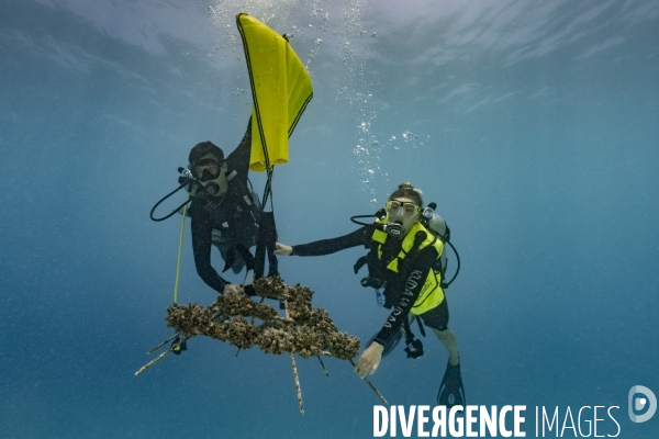 Plongeurs biologistes et structure métallique aux Maldives