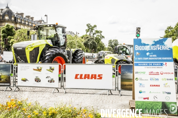 BiodiversiTerre, l avenue Foch vegetale