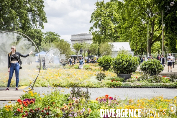 BiodiversiTerre, l avenue Foch vegetale