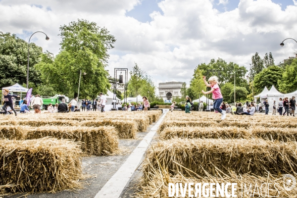 BiodiversiTerre, l avenue Foch vegetale