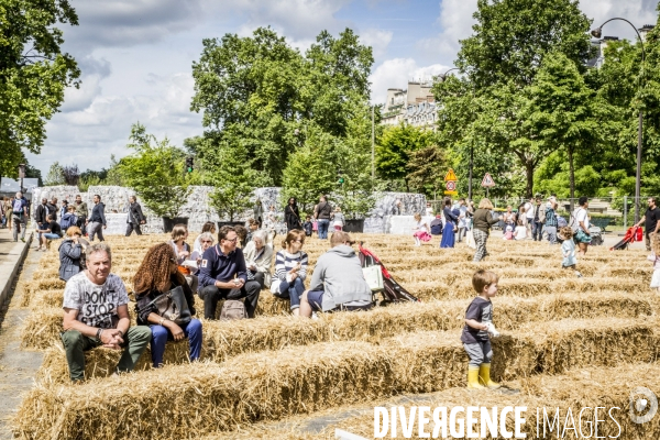 BiodiversiTerre, l avenue Foch vegetale