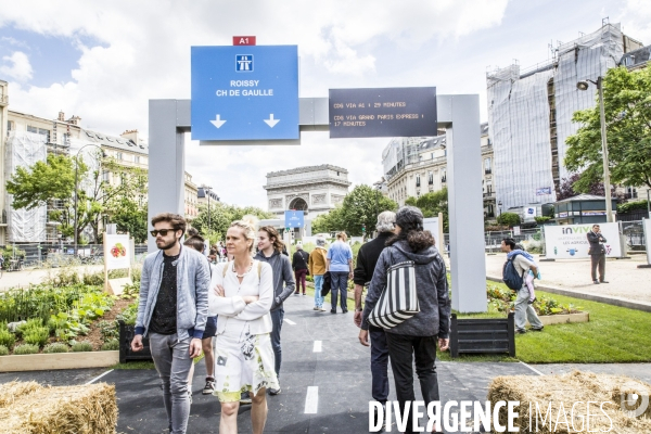 BiodiversiTerre, l avenue Foch vegetale