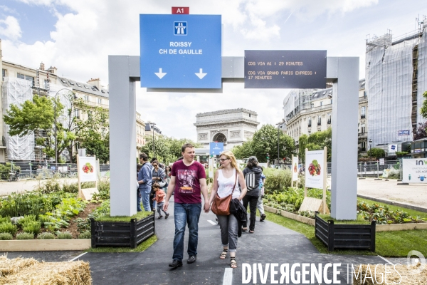 BiodiversiTerre, l avenue Foch vegetale