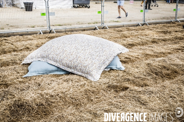 BiodiversiTerre, l avenue Foch vegetale