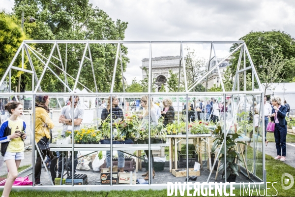 BiodiversiTerre, l avenue Foch vegetale