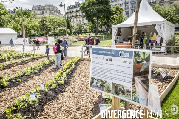 BiodiversiTerre, l avenue Foch vegetale