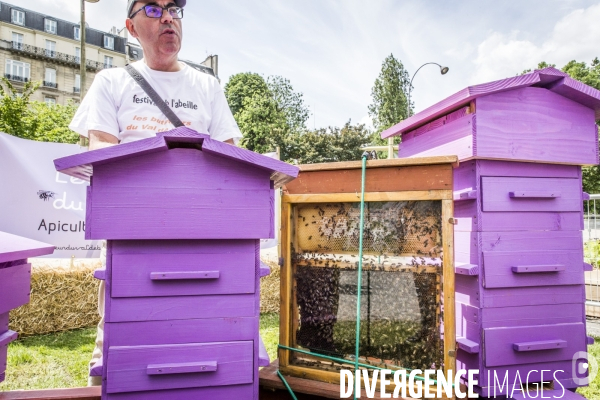 BiodiversiTerre, l avenue Foch vegetale