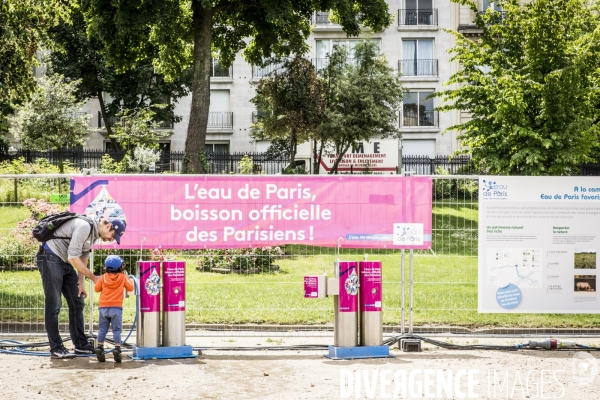 BiodiversiTerre, l avenue Foch vegetale