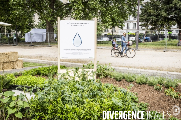 BiodiversiTerre, l avenue Foch vegetale