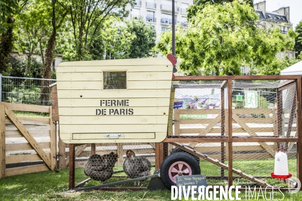 BiodiversiTerre, l avenue Foch vegetale