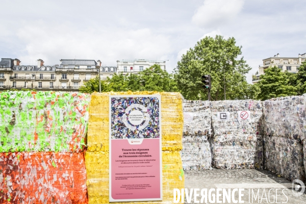 BiodiversiTerre, l avenue Foch vegetale