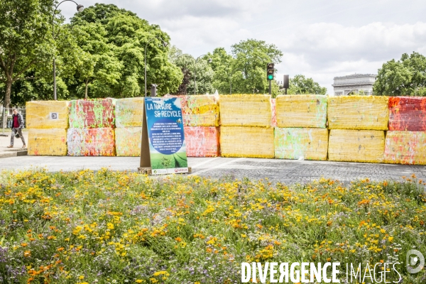BiodiversiTerre, l avenue Foch vegetale