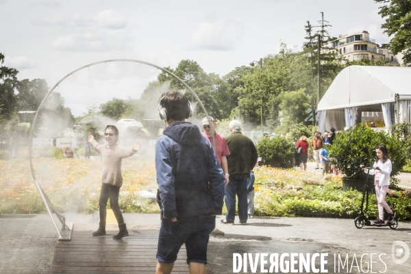 BiodiversiTerre, l avenue Foch vegetale