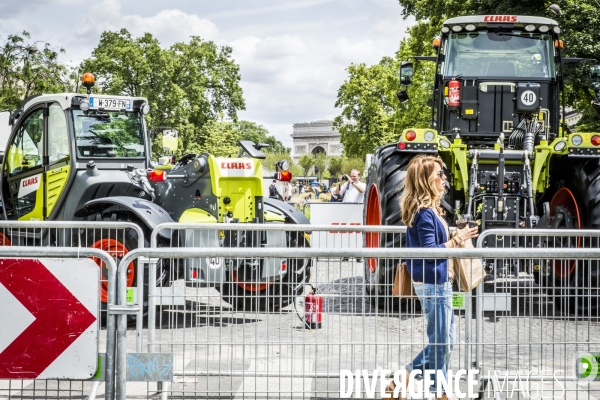 BiodiversiTerre, l avenue Foch vegetale