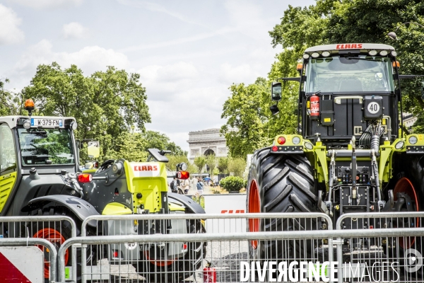 BiodiversiTerre, l avenue Foch vegetale