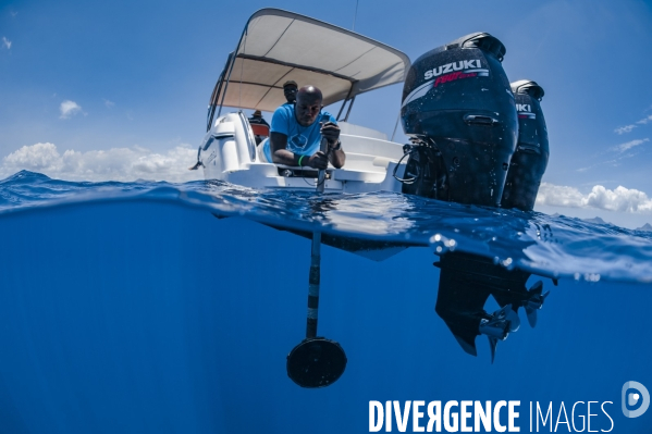 Hydrophone directionnel pour repérer les cachalots à l île Maurice