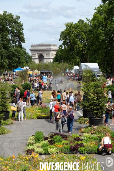 BiodiversiTerre, promenade agricole et vegetale avenue Foch realisee par l artiste Gad Weil