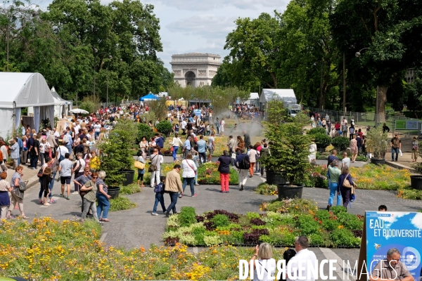 BiodiversiTerre, promenade agricole et vegetale avenue Foch realisee par l artiste Gad Weil