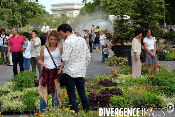 BiodiversiTerre, promenade agricole et vegetale avenue Foch realisee par l artiste Gad Weil