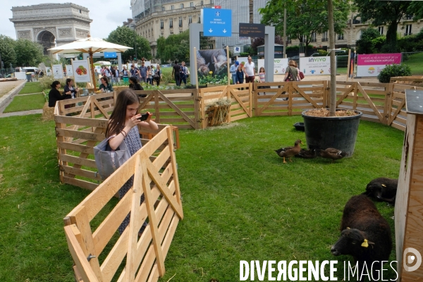 BiodiversiTerre, promenade agricole et vegetale avenue Foch realisee par l artiste Gad Weil