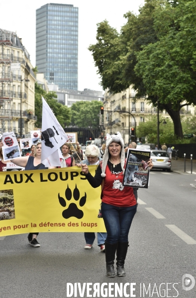Action Cause animale contre les tirs de loups et contre la chasse.