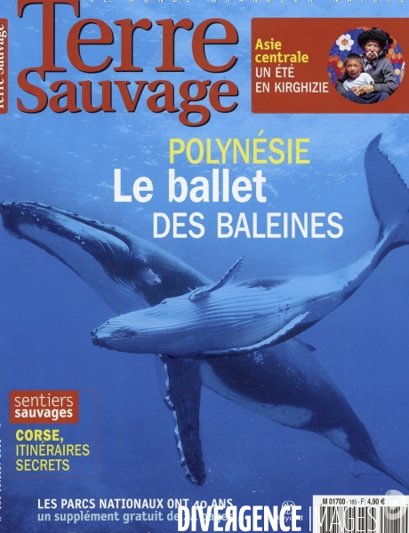 Terre sauvage