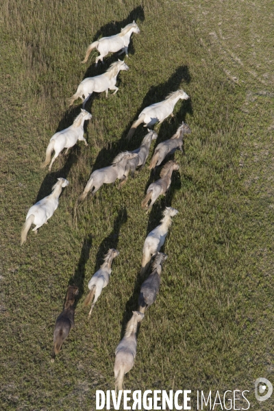 Vue aérienne de Camargue