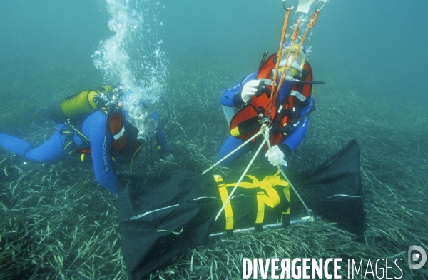 20 000 Preuves sous la mer