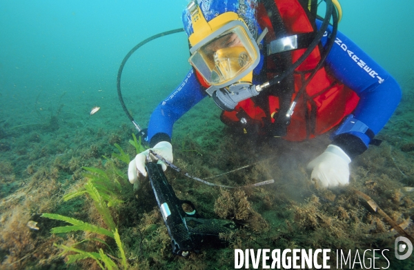 20 000 Preuves sous la mer