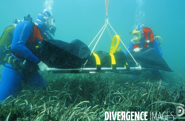 20 000 Preuves sous la mer