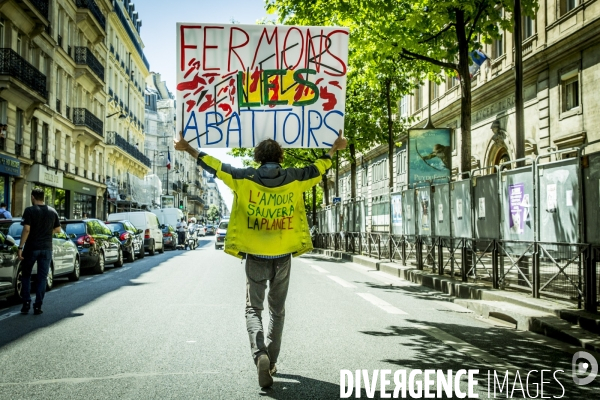 Marche 2017 pour la Fermeture des abattoirs