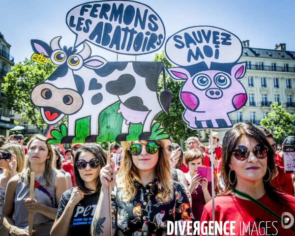 Marche 2017 pour la Fermeture des abattoirs