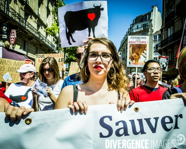 Marche 2017 pour la Fermeture des abattoirs