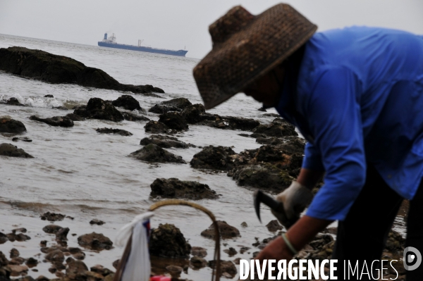 Tai O, un village de pêcheurs à l abandon