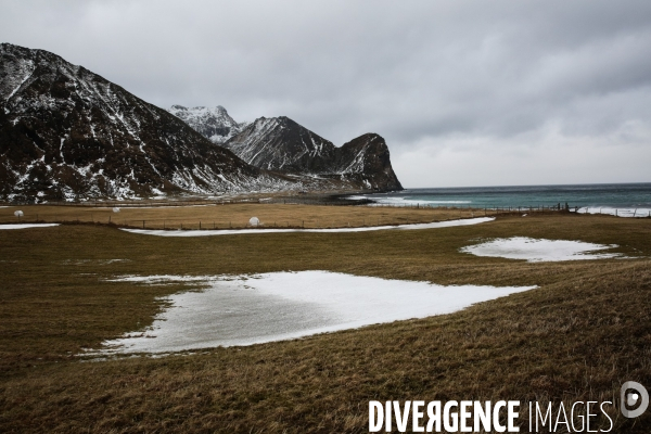 Road Trip sur les Iles Lofoten en Norvege