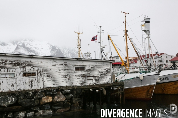 Road Trip sur les Iles Lofoten en Norvege