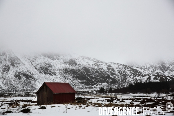 Road Trip sur les Iles Lofoten en Norvege
