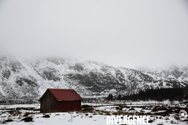 Road Trip sur les Iles Lofoten en Norvege