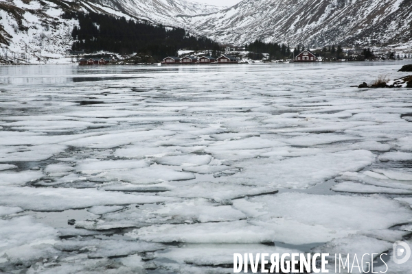 Road Trip sur les Iles Lofoten en Norvege