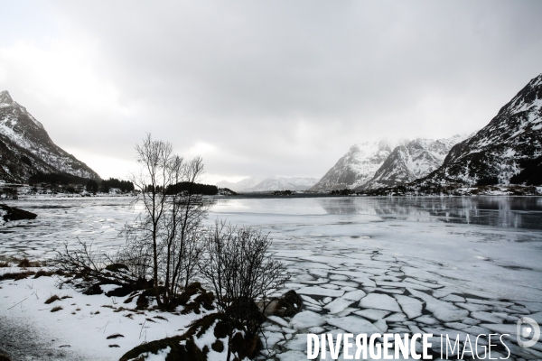 Road Trip sur les Iles Lofoten en Norvege