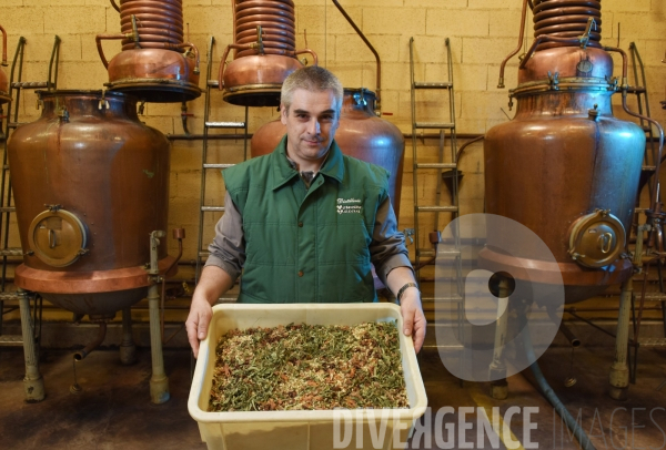 Distillerie de la Verveine du Velay