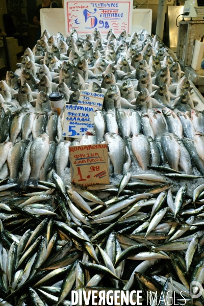 Athenes.Un etal de poissons au marche central