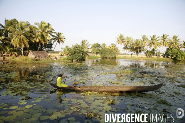 Backwaters dans l etat du Kerala